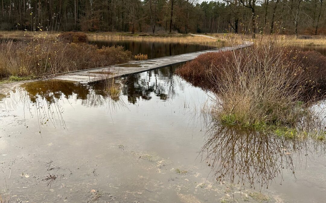 Zondag 15 september: Excursie bodem en water