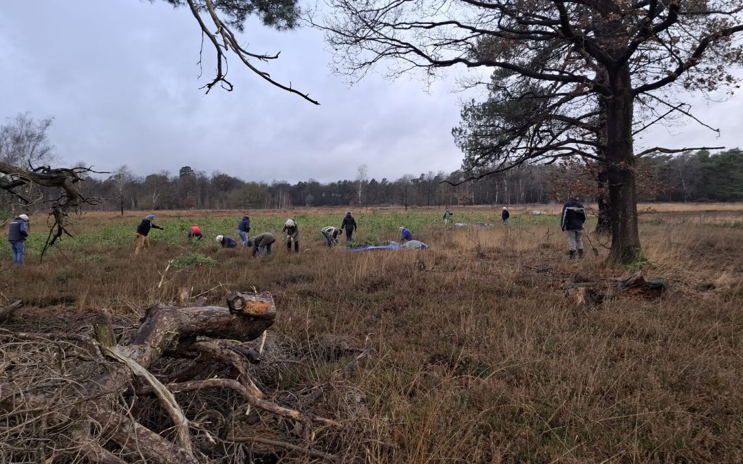 Gelderse natuurprijs 2025