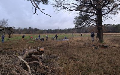 Marke Gorsselse Heide: Winnaar Gelderse Natuurprijs 2025