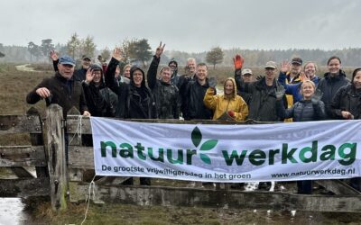 Kom zaterdag 7 november boompjes trekken tijdens de Nationale Natuurwerkdag