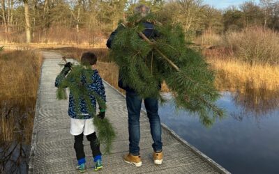 Haal je kerstgroen op de Gorsselse Heide!