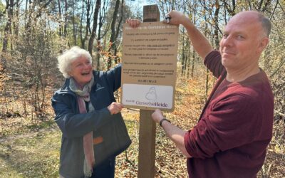 Heideherstel Kleine Gorsselse Heide bij Joppe